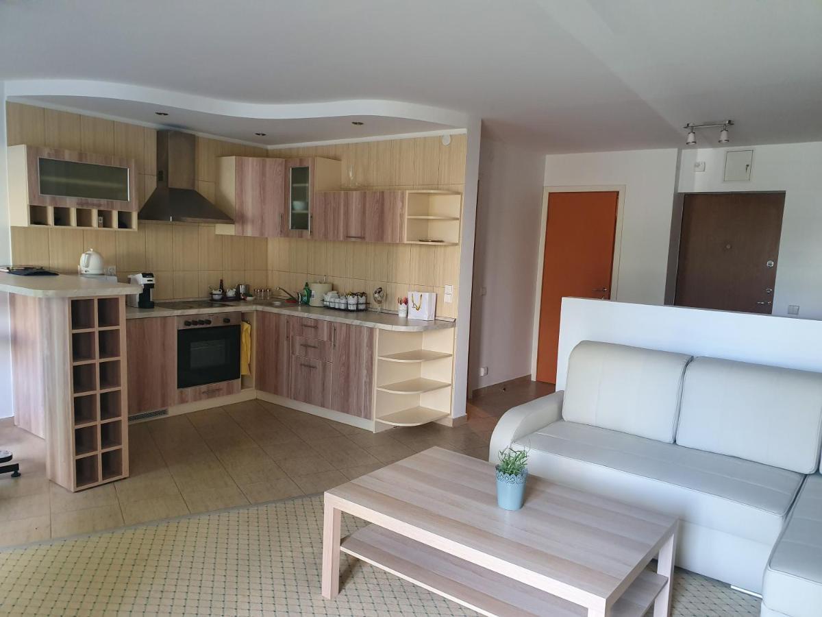 Adventure Apartamentai ドルスキニンカイ エクステリア 写真