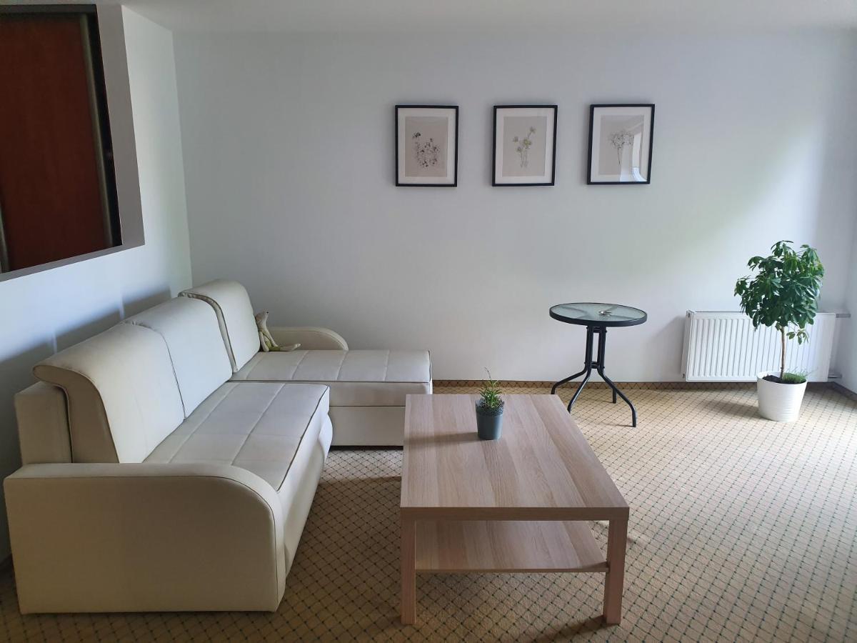 Adventure Apartamentai ドルスキニンカイ エクステリア 写真